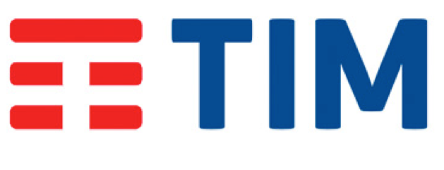 TIM partner badge